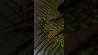 Weaving A Coconut Branch #village_life #satisfyingvideo #shorts #coconut