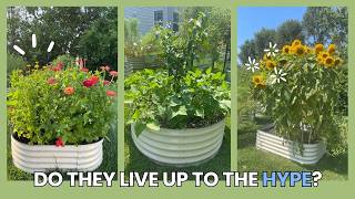 Vego Garden Raised Beds Review: Are They Worth It 3 Years Later?