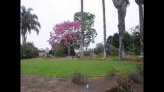 UCI Arboretum was used by the School of Biological Sciences