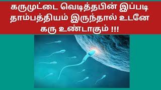 கருமுட்டை வெடித்த பின் இப்படி சேர்ந்து இருந்தால் உடனே கரிதரிக்கலலாம் |Conceive fast after ovulation