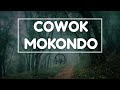 MUSIK AI ! LAGU COWOK MOKONDO