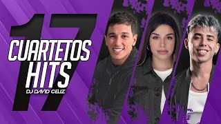 MEGA CUARTETOS HITS 17 | DJ DAVID CELIZ