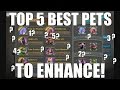 Taichi Panda | TOP 5 | Best Pets to Enhance!