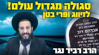 💥 סגולה לזיווג ופרי בטן 💥 מר' אברהם דב - מגדולי העולם! 💥בעל הבת עין! 💥 סגולות נפלאות 💥 הרב רביד נגר