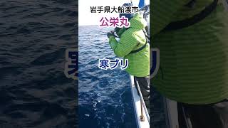 【寒ブリ】ジギングで狙う冬の味覚【釣り】