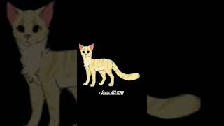 SandStorm Edit ~ niewiem czy można to nazwać Editem #warriorcats