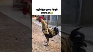 অতিরিক্ত কোনো কিছুই  ভালো না