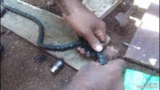 moterbike chain repair