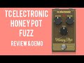 The Tc Electronic Honey Pot Review And Demo - The Best Budget Pedals