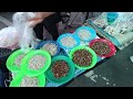 ตลาดสดอำเภอกันทรารมย์ ตลาดขายปลาอำเภอกันทรารมย์ ตลาดกันทรารมย์ จ.ศรีสะเกษ ตลาดขายปลาย้ายมาลานจอดรถ