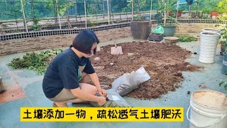 经过几次实践，发现土里加松针，土壤最疏松透气也更肥沃