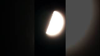 This Star Disappeared Shorts
