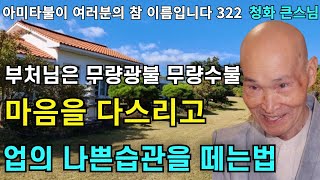 파도와 같은 마음을 다스리는 법 반야바라밀 계행 염념상속 | 부처님은 무량광불 무량수불 |청화스님 법문