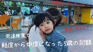 【発達検査】軽度から中度になった5歳〜6歳の様子