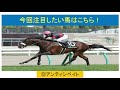 【土曜日の注目レース！東京メイン、ここで勝負気配の漂っているこの馬を本線に！】土曜日の東京メインr、ジューンステークスの注目したい1頭を紹介！この馬、推しポイント満載！ここが狙い目の1頭！