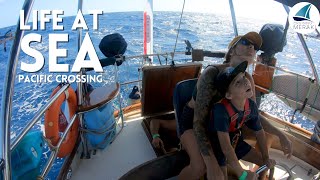 FAMILY LIFE at SEA | Pacific Crossing PT 3 | Ep 102