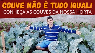 Os DIFERENTES TIPOS de COUVE da NOSSA HORTA. Como ter SUCESSO no CULTIVO dessa HORTALIÇA (Ep211)