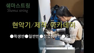 수제 현악기제작[내손으로 만드는바이올린 ]