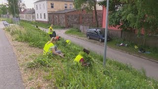 Liela skolēnu interese par vasaras darbu Jēkabpils pilsētas pašvaldībā