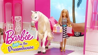 Girls Day Out | Barbie LIVE! In the Dreamhouse | @Barbie