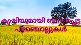 കൃഷിയുമായി ബന്ധപ്പെട്ട  പഴഞ്ചൊല്ലുകൾ  malayalam pazhamchollukal krishi.