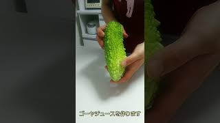 【飲むゴーヤ】想像以上に美味しくて！筋肉旦那もニッコニコ！homemade juice #shorts