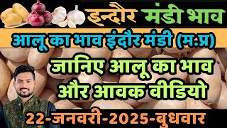 Indore mandi aalu ka bhav22/01/25 #mandibhav #mandiupdates #aalukabhav #viralvideo #indoremandibhav