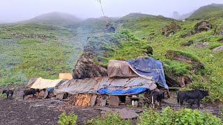 Best Life in the Nepali Mountain Village During the Rainy Time || How People Live in Nepal with Rain