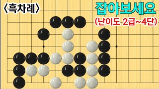 고급사활 #109 (2급~4단)