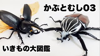 第三弾はゴライアスオオツノハナムグリ！【ガチャガチャ】かぶとむし03を開封！【いきもの大図鑑】/Beetle capsule toy