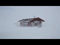 heavy snowstorm sounds for sleeping relaxing ~ blizzard snow howling wind winter storm ambience