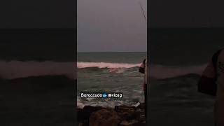 Barracuda fishing @vizag #fishing#ytshorts#vizag #shorts#like #angling#subscribe