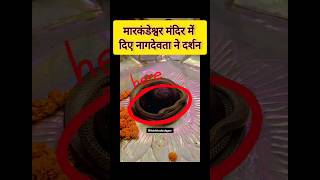 #shorts#mahadev#shiv markandeshwar mahadev mandir main Aya saap| Naag panchmi|