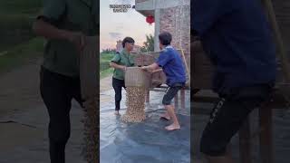 चिंटू काम से थक गया 😂| Tobba Tobba Funny Video 😂| #shorts #funny