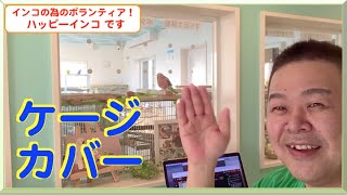 ケージにタオルをかけますか？　ハッピーインコ＆はがひでき