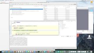 Using the NSight Debugger