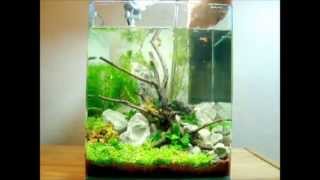 20L Dennerle Nano-Cube Einrichten - 5 Gallon nano tank set up