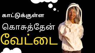 கொசுத்தேன் வேட்டை பாருங்க ..... நான் தனியா காட்டுக்குள்ள போரேன்