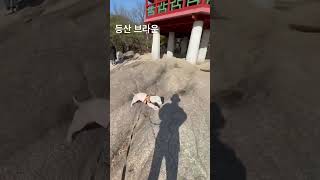 20230121 등산 브라운 아차산2