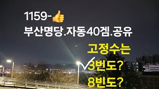 #1159-👍부산명당연속자동40겜.공유.고정수는3빈도?