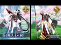 [FGO] Kenshin / Kagetora Animation Comparison