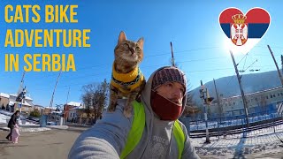 Cats bike ride to Serbia 🚴🏼♂️😻❤️