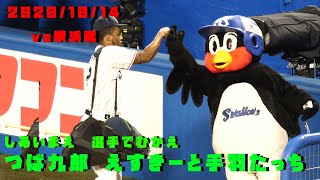 つば九郎　えすきーといつもの手羽タッチ　2020/10/14　vs横浜