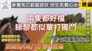 港經佬賽馬貼士及分析｜第七場參賽馬匹資料｜10-09-2023 沙田十場日馬田草賽事｜免費心水及賽馬貼士｜全方位博彩及投資頻道｜足球｜賽馬｜股票｜樓市 #賽馬貼士