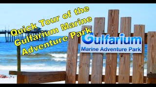 Quick Tour of the Gulfarium Marine Adventure Park