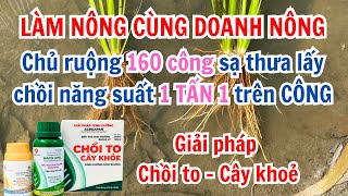 AgriJapan | Chủ ruộng 160 CÔNG sạ THƯA lấy CHỒI năng suất 1TẤN 1/ CÔNG - Giải pháp CHỒI TO CÂY KHOẺ