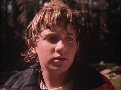 What is the movie A Cry in the Wild About?