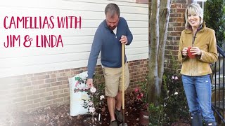 Let's Talk Camellias with Southern Living Plant Experts Linda Vater and Jim Putnam from HortTube