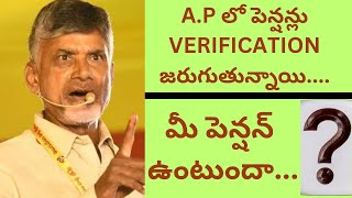 NTR BHAROSA (ఎన్టీఆర్ భరోసా) రీ వెరిఫికేషన్ process ఎలా జరుగుతుందో ఈ వీడియో ద్వారా తెలుసుకోండి.#ntr