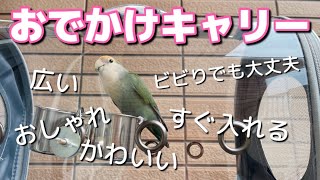 【救世主】捕まえずにすぐ入れるキャリーを見つけました！！おでかけキャリー|コザクラインコ|love bird